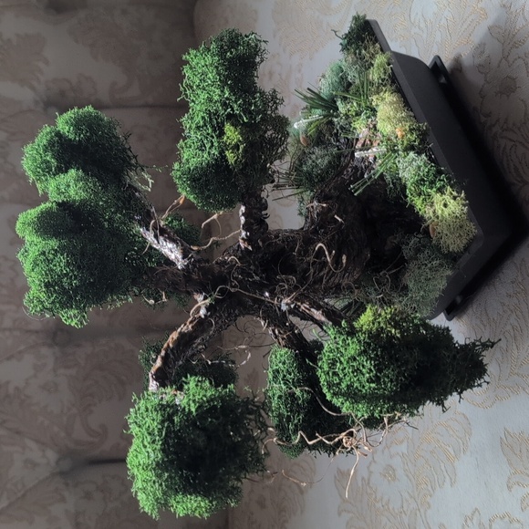 Hand Made Bonsai Tree - Picture 6 of 6